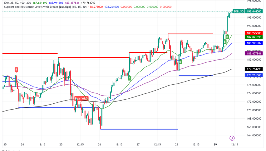 Solana (SOL) Bulls Reassert Dominance Amidst Price Correction
