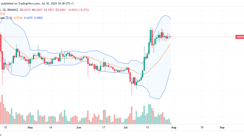 XRP Daily Chart for July 30