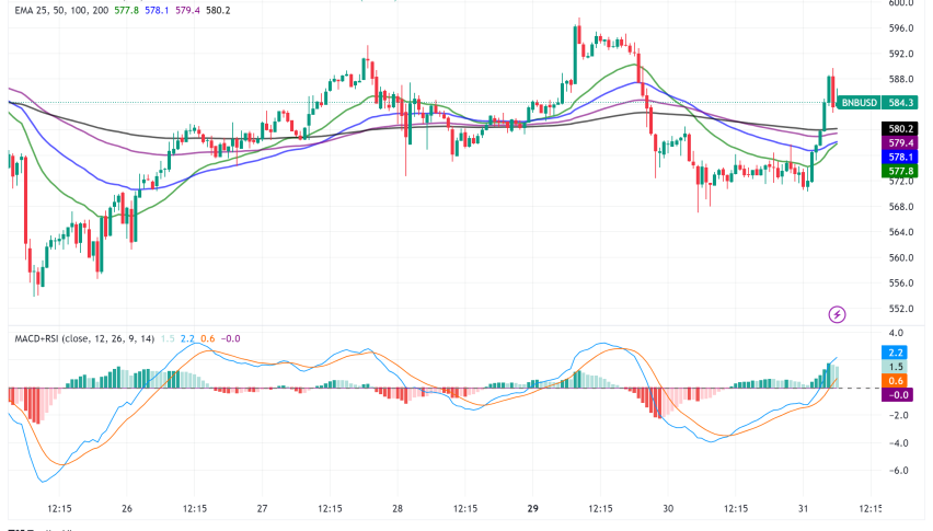 Binance Coin (BNB) Rebounds Amidst SEC's Shifting Stance