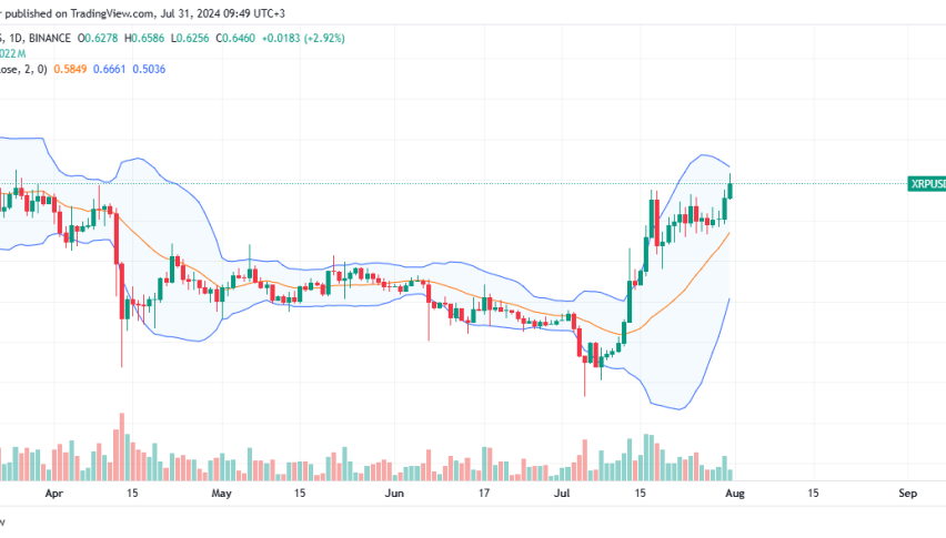 XRP Daily Chart for July 31