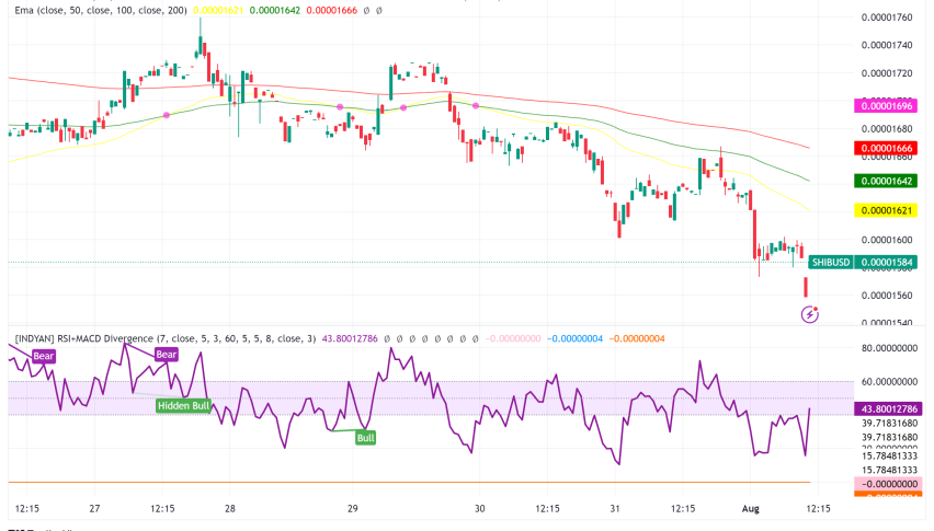 Shiba Inu (SHIB) Making a Comeback? Key Metrics Flash Bullish Signs