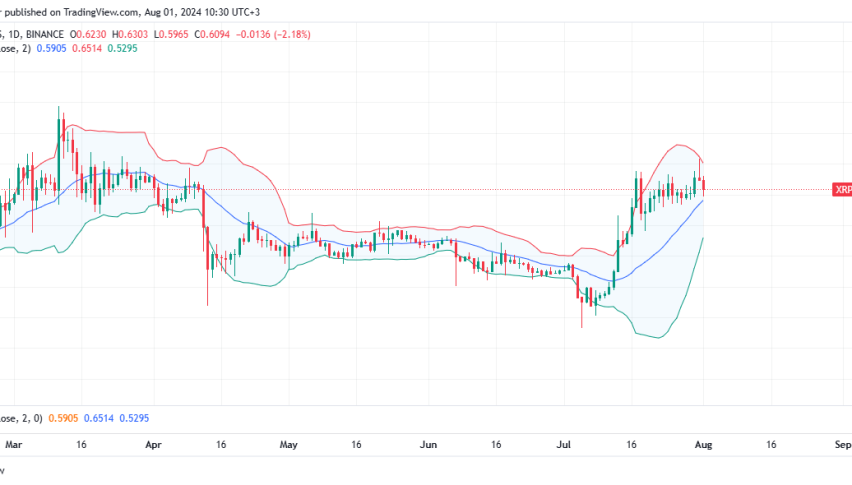 XRP Daily Chart for August 1