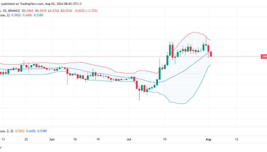 XRP Daily Chart for August 2