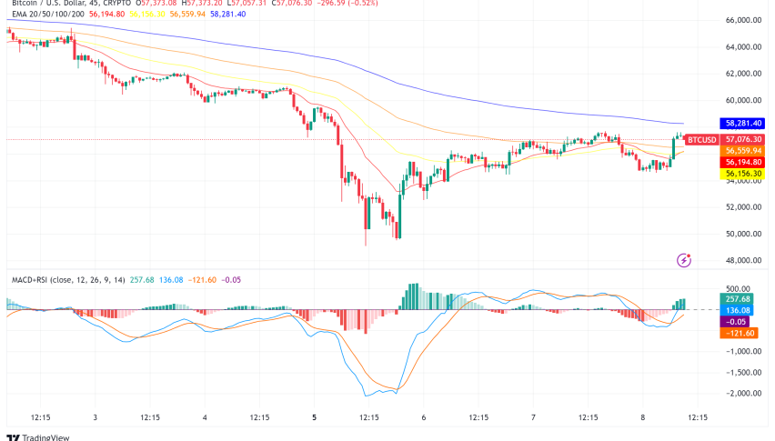 Bitcoin Whales Accumulate as Market Hints at Potential Supply Shock