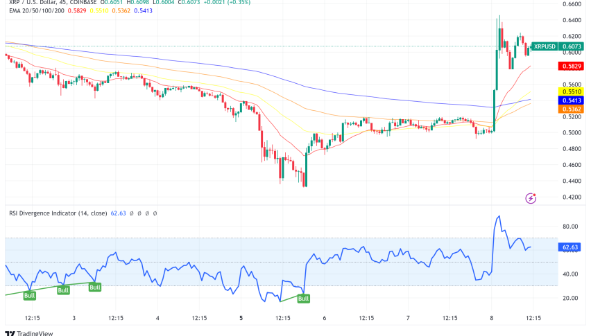 XRP Rallies on Ripple Lawsuit Progress, But Can it Fly High Again?