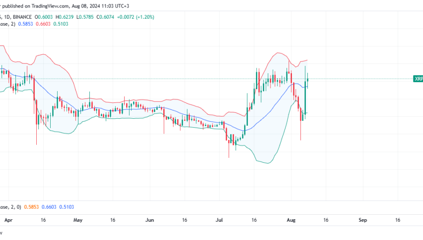 XRP Daily Chart for August 8