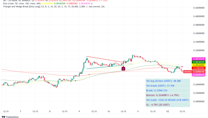 Sei (SEI) Soars: A Meteoric Rise for Decentralized Exchanges