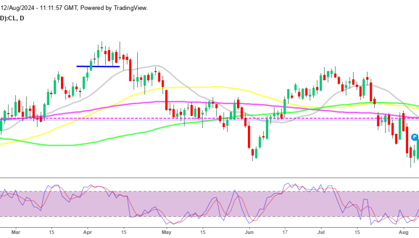 WTI crude Oil daily chart