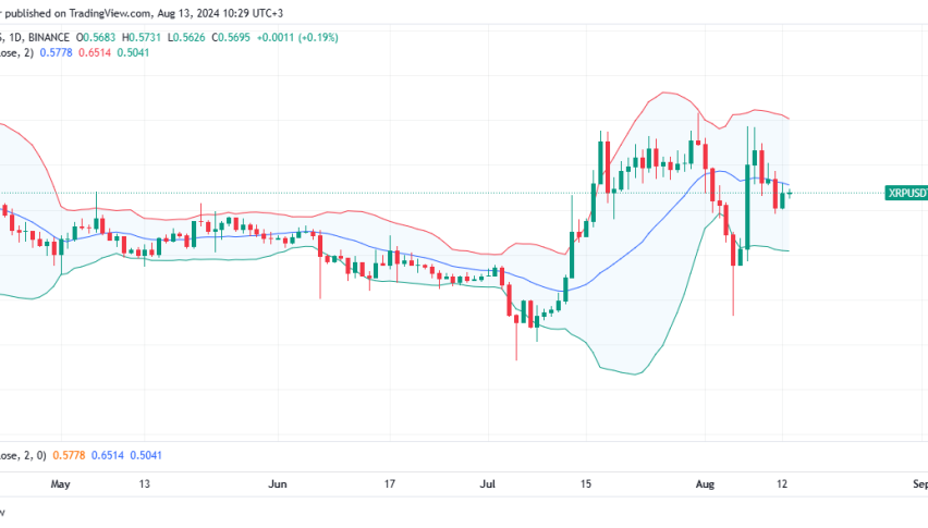XRP Daily Chart for August 13