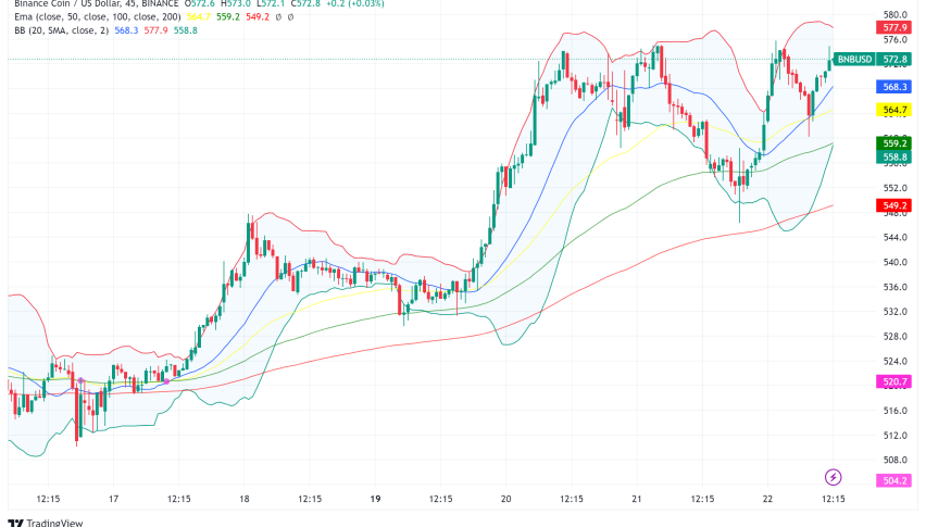Binance Coin (BNB) Price Soars on DOGS Listing News