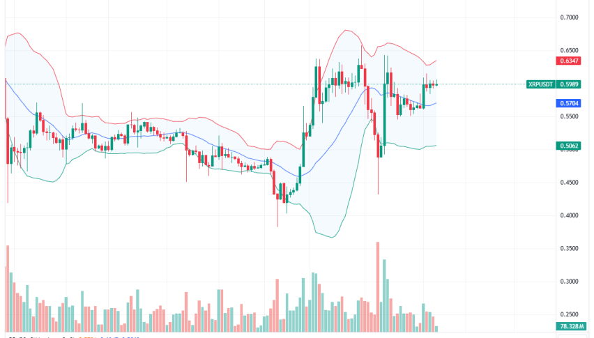 XRP Daily Chart for August 23