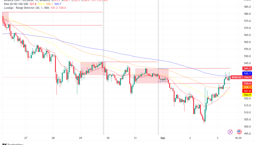 BNB Faces Headwinds Amidst CZ's Detention and Waning Chain Activity