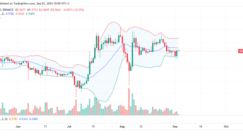 XRP Daily Chart for September 3