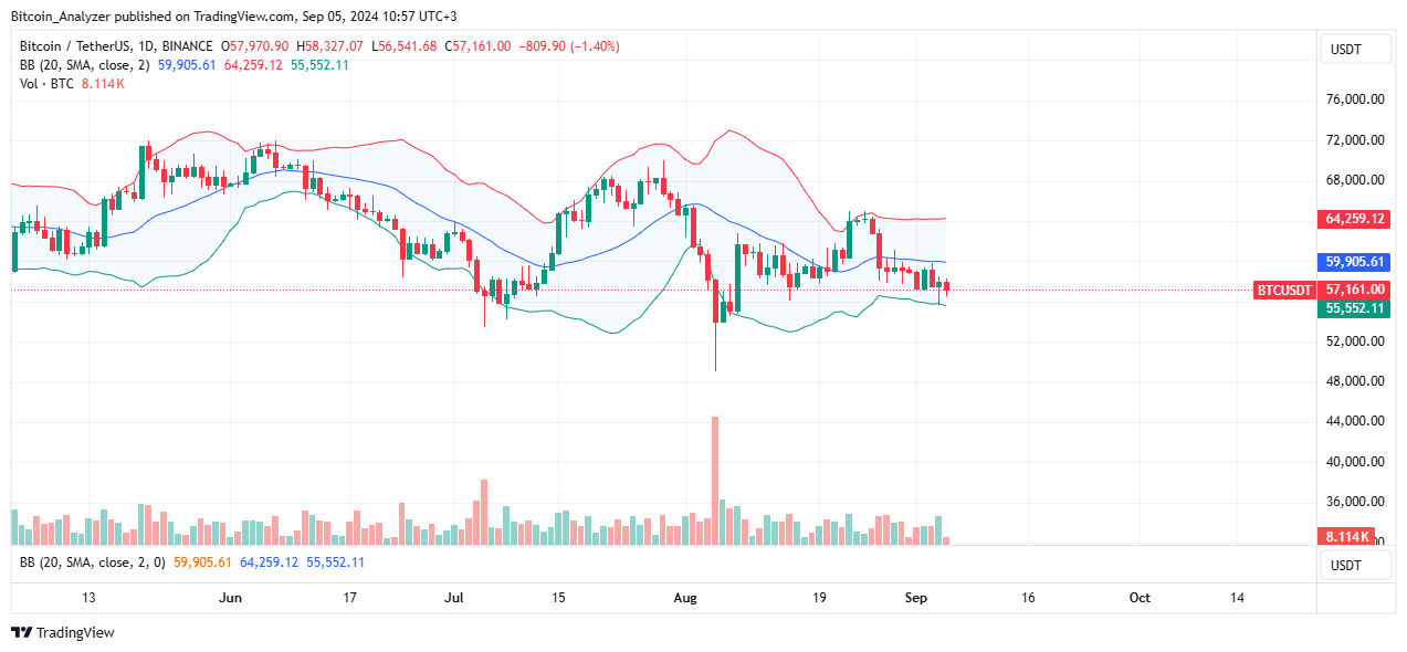 Bitcoin Bears Target $50,000: Why Are Large Whales Fast Accumulating?