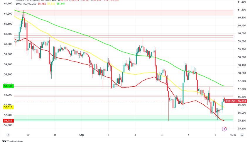 Bitcoin Price Dips Below $56,000 as Market Sentiment Shifts to