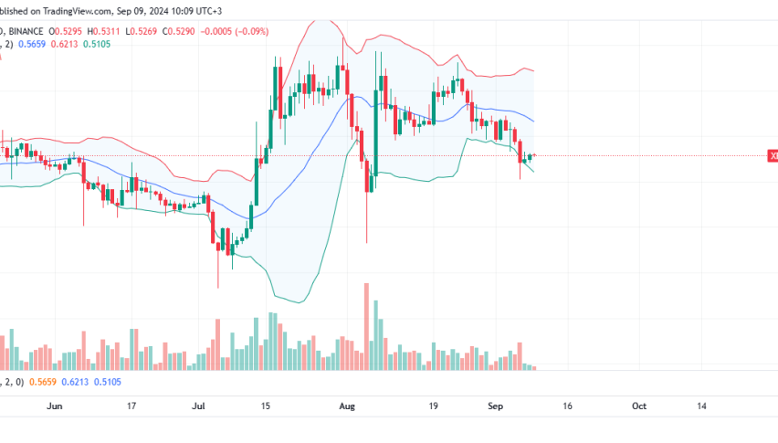XRP Daily Chart for September 9