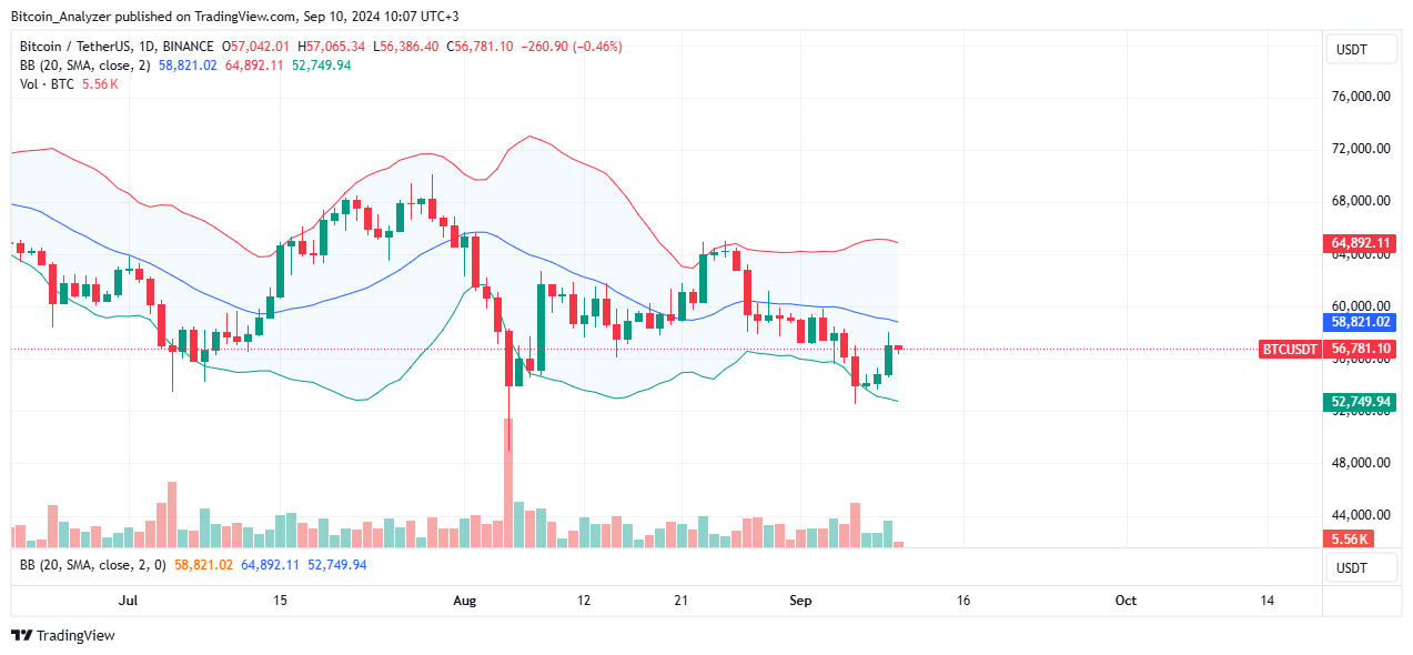 Bitcoin Building Momentum Above $50,000: Is The Pain Over For BTC Holders?