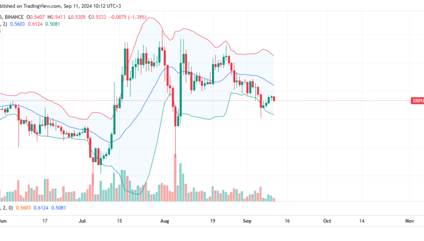 XRP Daily Chart for September 11