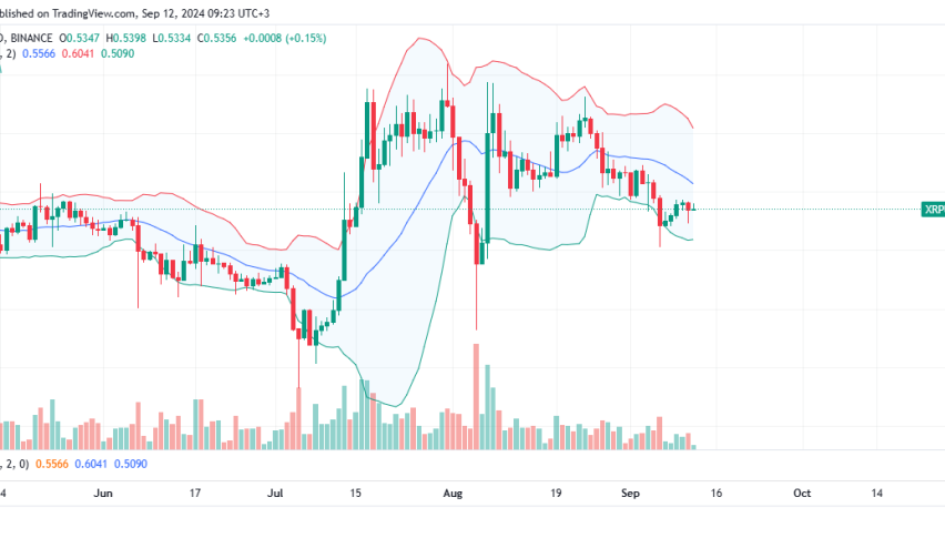 XRP Daily Chart for September 12