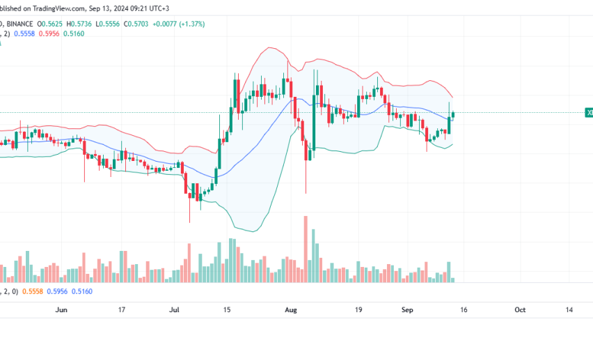 XRP Daily Chart for September 13