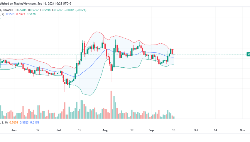 XRP Daily Chart for September 16