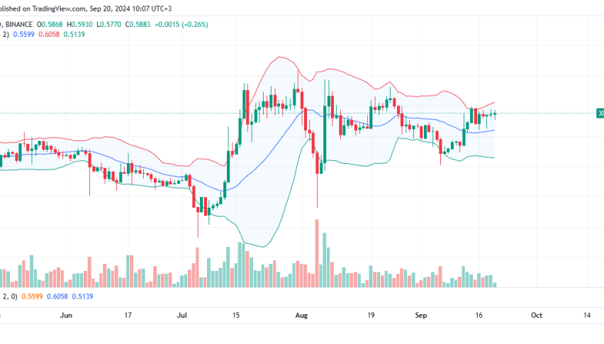 XRP Daily Chart for September 20