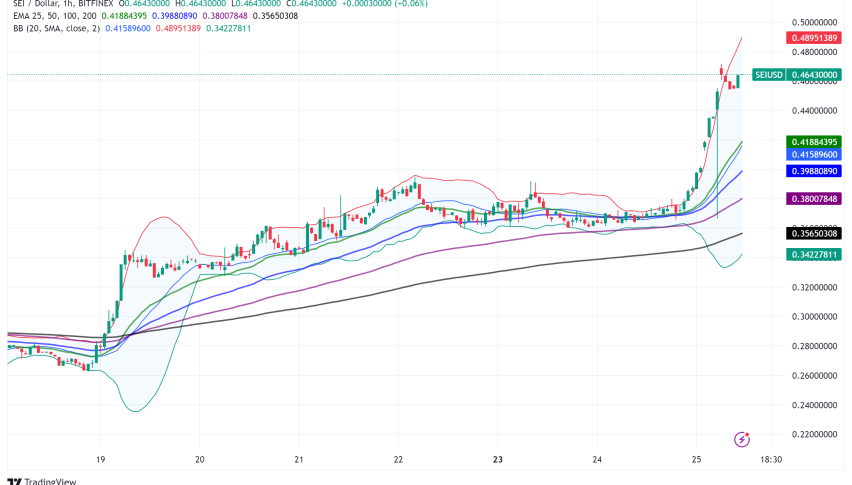Sei (SEI) Surges 24% Amid Growing Interest in Layer 1 Blockchains