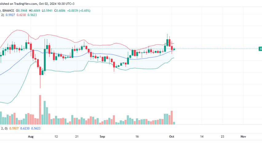 XRP Daily Chart for October 2