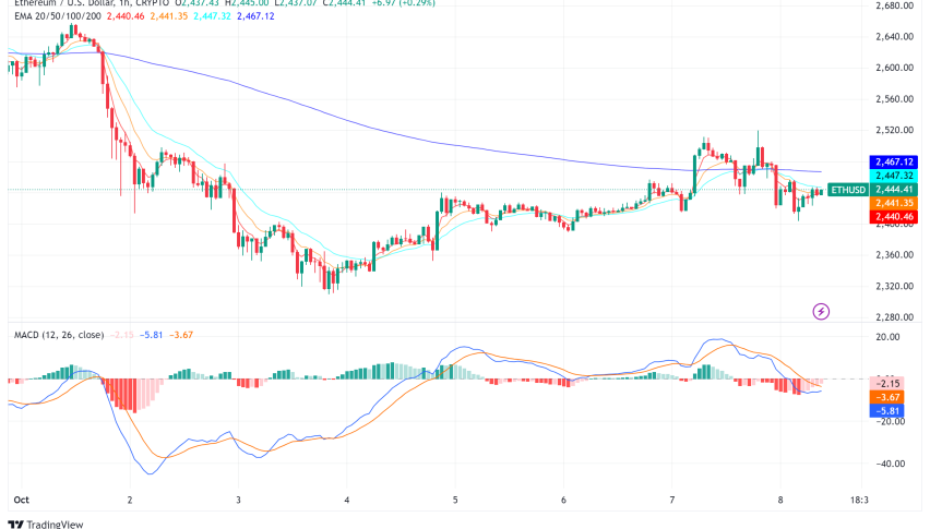Ethereum Whale's Selling Spree Impacts Market as Network Undergoes Changes