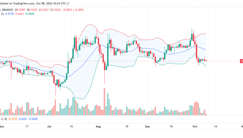 XRP Daily Chart for October 8