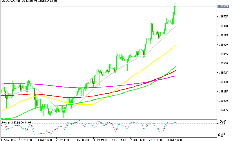 Relentless bullish momentum in USD/CAD