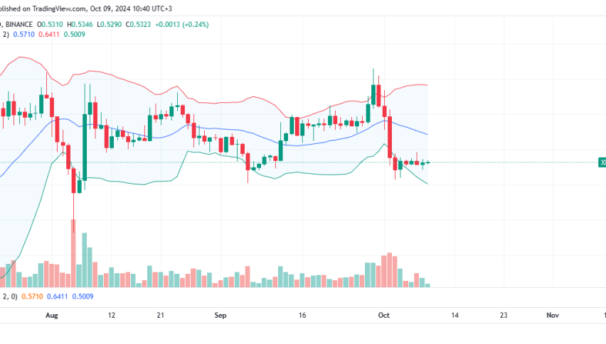 XRP Daily Chart for October 9