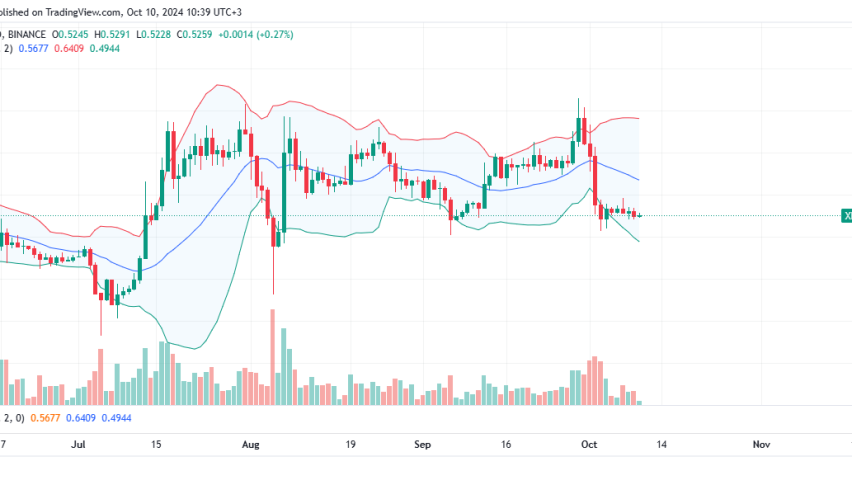 XRP Daily Chart for October 10