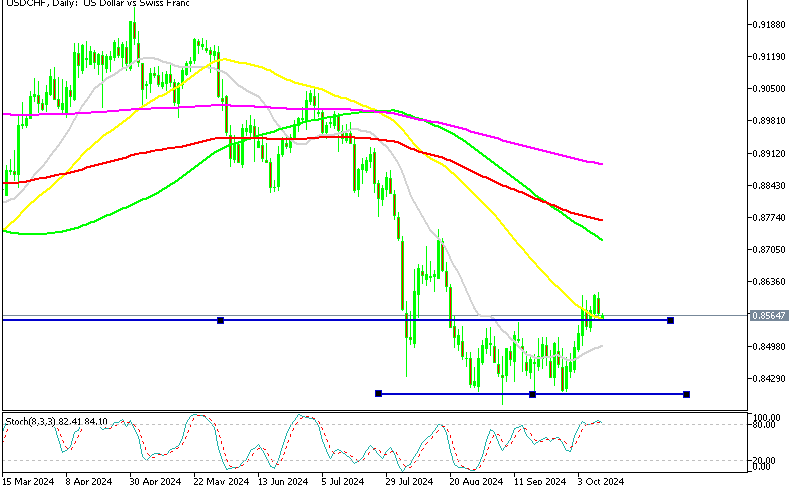 USD/CHF Daily Chart