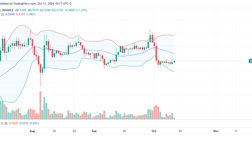 XRP Daily Chart for October 11