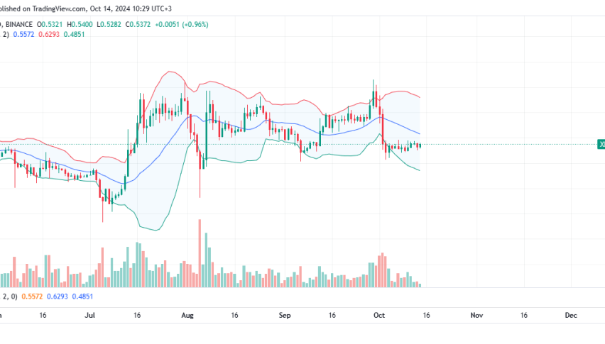XRP Daily Chart for October 14