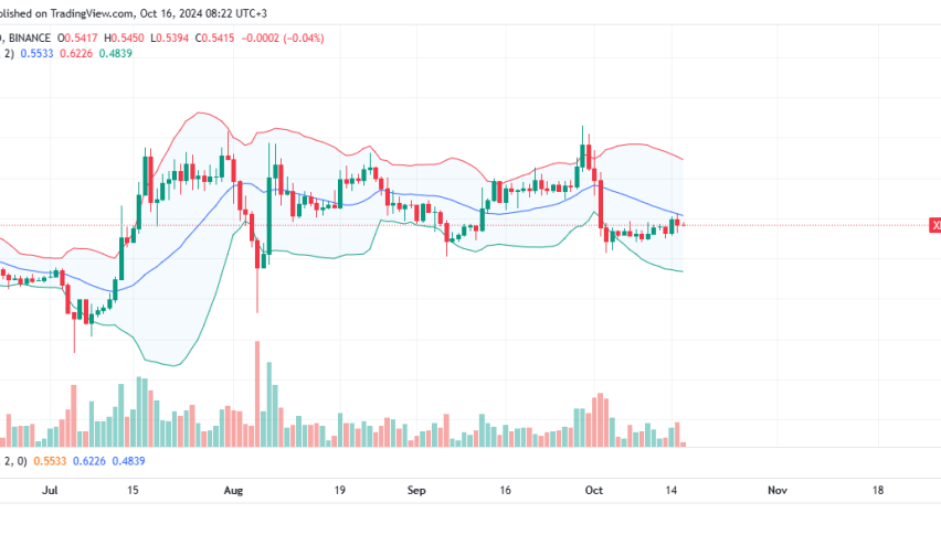 XRP Daily Chart for October 16