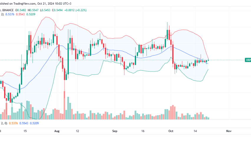 XRP Daily Chart for October 21