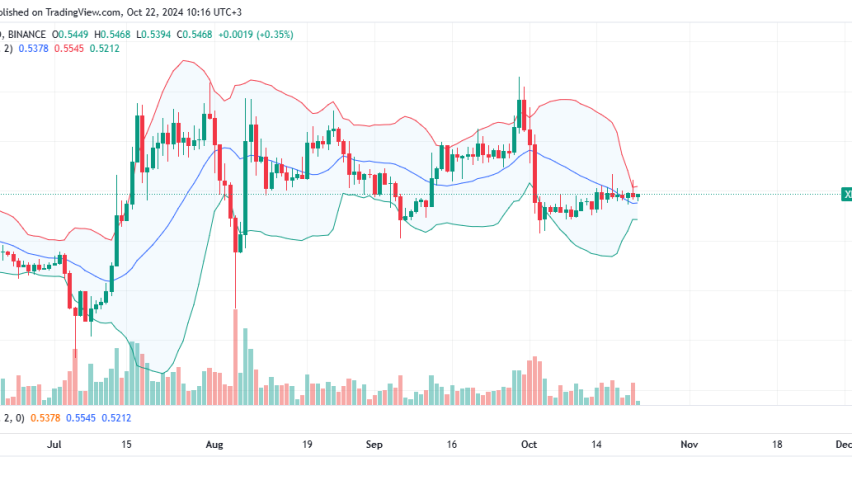 XRP Daily Chart for October 22