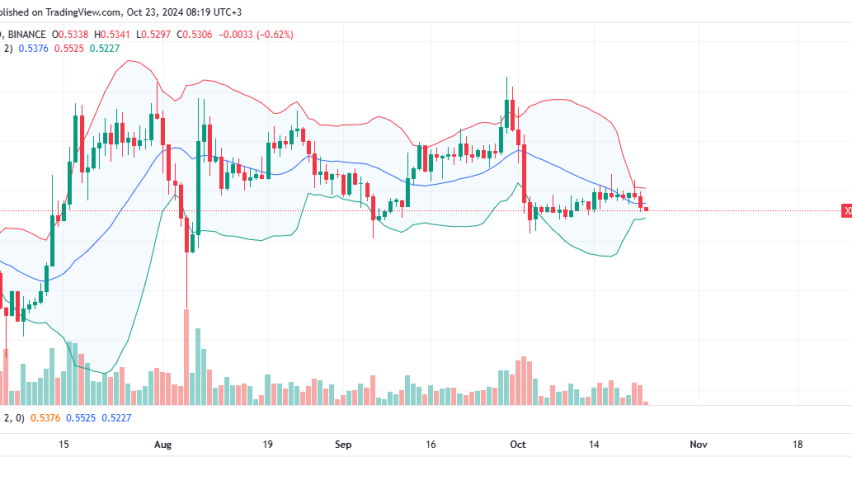 XRP Daily Chart for October 23