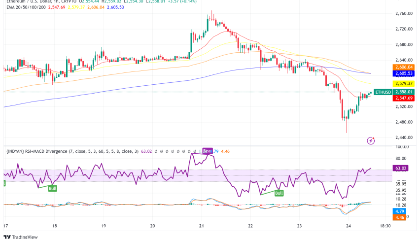 Ethereum Faces Mounting Pressure as Price Dips Below $2,600 Amid Network Concerns