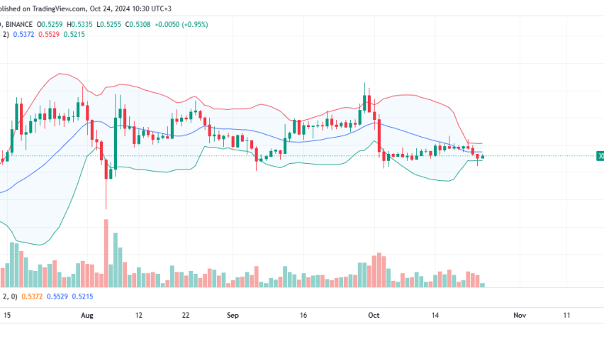 XRP Daily Chart for October 24