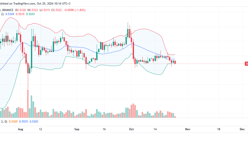 XRP Daily Chart for October 25