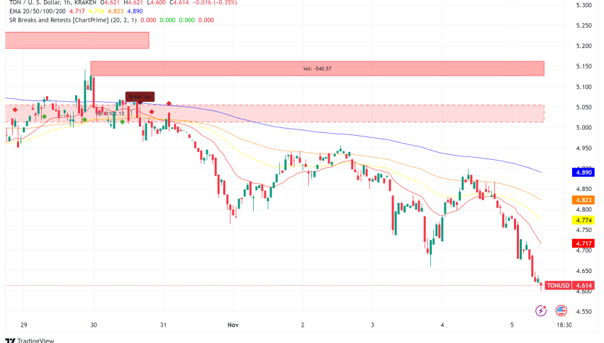 TON Network Sees Mixed Signals Amid Ecosystem Growth and Price Volatility
