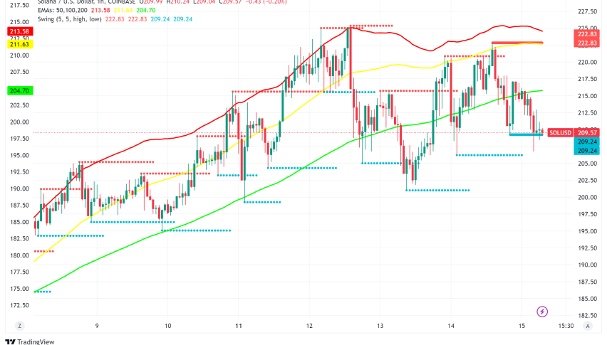 Solana Maintains Market Dominance as Price Targets New Heights