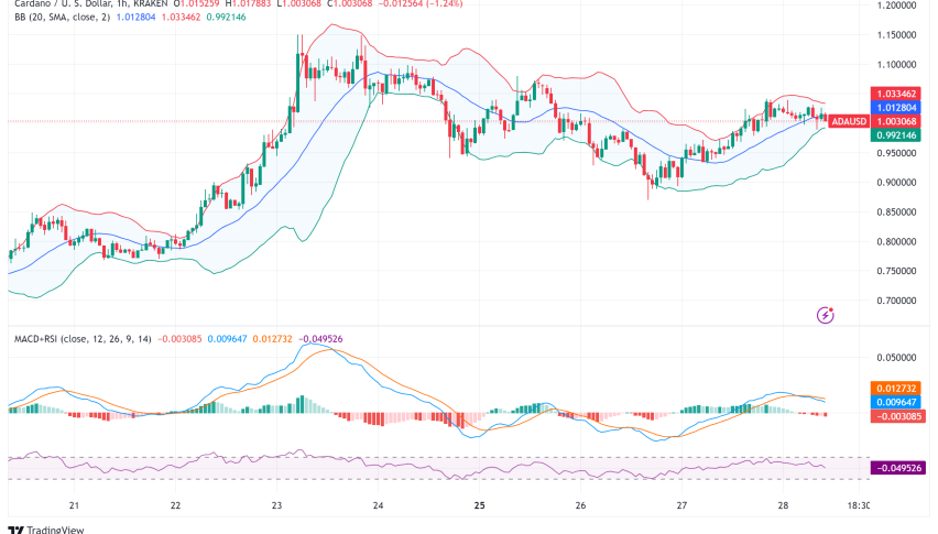 Cardano Breaks New Ground with First Zero-Knowledge Smart Contract, Whales Signal Bullish Momentum