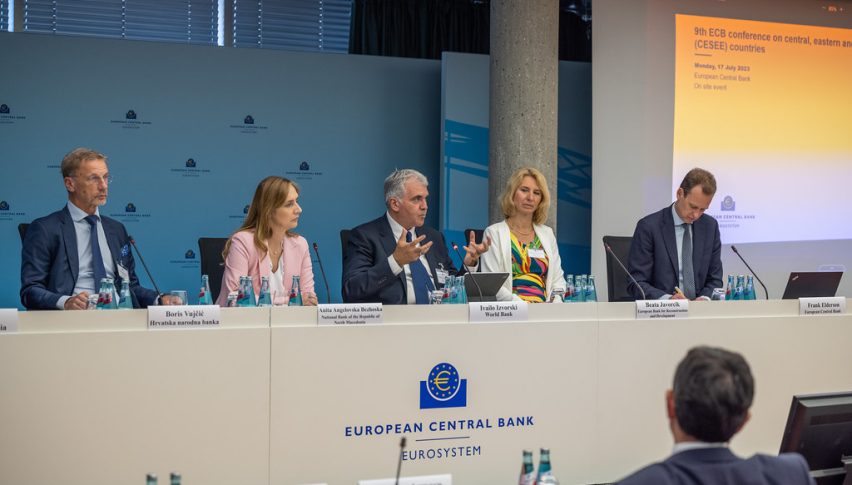 ECB member Vujcic making dovish remarks about the ECB policy