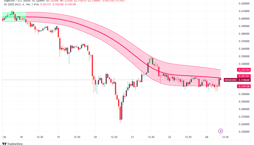 Dogecoin Price Analysis: DOGE Down 20% in a Week, What's Next?