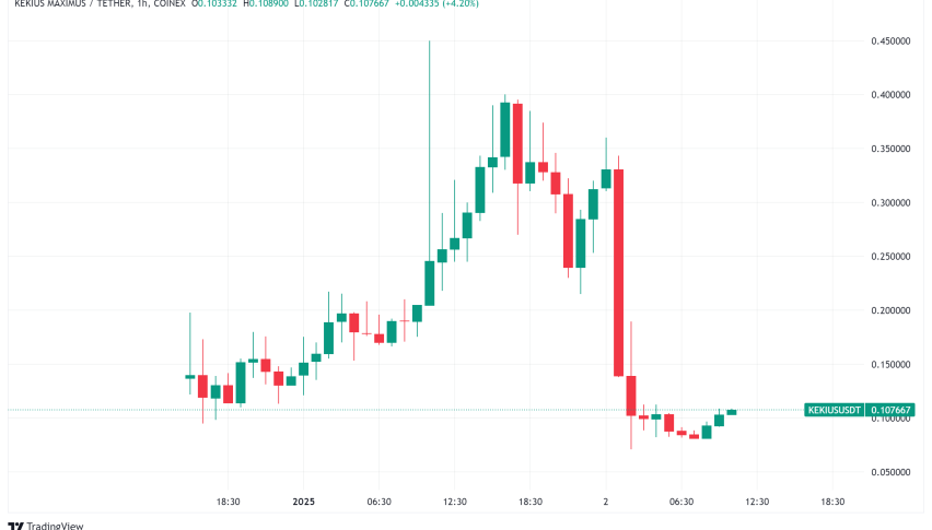 Musk's 'Kekius Maximus' Name Change Triggers $3M Crypto Windfall