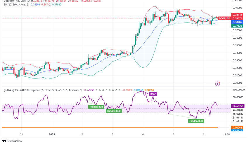 Dogecoin Surges Into 2025: Analysts Eye $1 Target Amid Institutional Interest